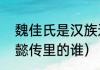 魏佳氏是汉族还是满族（魏佳氏是如懿传里的谁）