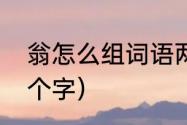 翁怎么组词语两个字（翁字组词语两个字）