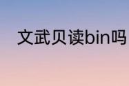 文武贝读bin吗（文武贝，读什么）