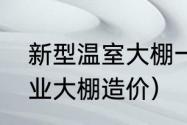 新型温室大棚一亩造价多少（智慧农业大棚造价）