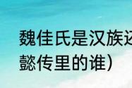 魏佳氏是汉族还是满族（魏佳氏是如懿传里的谁）