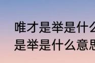 唯才是举是什么意思（量才适用唯才是举是什么意思）