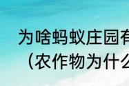 为啥蚂蚁庄园有的可以串门有的不行（农作物为什么实行轮作蚂蚁庄园）