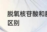 脱氧核苷酸和脱氧核糖核苷酸有什么区别