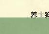 养土狗的10个绝招