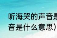 听海哭的声音是哪首歌（听海哭的声音是什么意思）