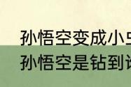 孙悟空变成小虫子进入了谁的肚子（孙悟空是钻到谁的肚子里去的）