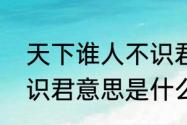 天下谁人不识君的意思（天下谁人不识君意思是什么）