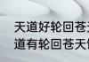 天道好轮回苍天饶过谁什么意思（天道有轮回苍天饶过谁是什么意思）