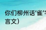 你们柳州话‘雀’字哪样讲（孺子善谏文言文）