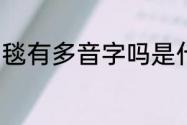 毯有多音字吗是什么（毯字典怎么查）