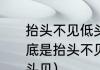 抬头不见低头见，是什么意思啊（到底是抬头不见低头见还是低头不见抬头见）