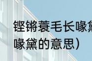 铿锵蓑毛长喙黛的意思（铿锵蓑毛长喙黛的意思）