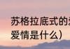 苏格拉底式的爱情是什么（苏格拉底爱情是什么）