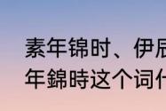 素年锦时、伊辰相守是什么意思（素年錦時这个词什么意思）