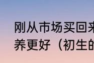 刚从市场买回来一斤左右小鸡怎么喂养更好（初生的小鸡该怎样饲养）