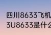 四川8633飞机是空客还是波音（川航3U8633是什么机型）