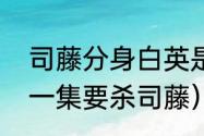 司藤分身白英是人吗（白英为什么第一集要杀司藤）