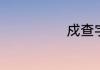 戍查字典怎么查