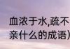 血浓于水,疏不间亲什么意思（不什么亲什么的成语）