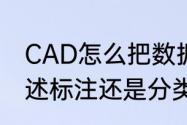 CAD怎么把数据标注（数据标注是描述标注还是分类标注）