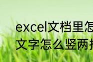 excel文档里怎么调竖排文字（表格文字怎么竖两排）