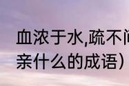 血浓于水,疏不间亲什么意思（不什么亲什么的成语）