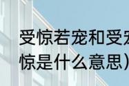 受惊若宠和受宠若惊的区别（受宠若惊是什么意思）