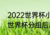 2022世界杯小组赛出线规则（2022世界杯分组后出线规则）