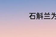 石斛兰为什么弄树上