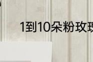 1到10朵粉玫瑰各代表什么意思