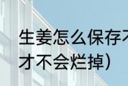 生姜怎么保存不坏不干（姜怎么保存才不会烂掉）