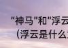 “神马”和“浮云”这两个词是什么意思（浮云是什么意思神马是什么意思）