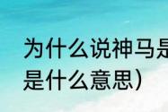 为什么说神马是什么的意思（神马号是什么意思）