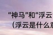 “神马”和“浮云”这两个词是什么意思（浮云是什么意思神马是什么意思）