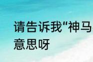 请告诉我“神马都是浮云”到底是什么意思呀