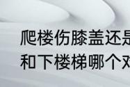 爬楼伤膝盖还是下楼伤膝盖（上楼梯和下楼梯哪个对膝盖不好）