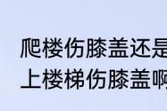 爬楼伤膝盖还是下楼伤膝盖（究竟是上楼梯伤膝盖啊还是下楼梯伤膝盖啊）