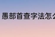 愚部首查字法怎么查（憨怎么查字典）