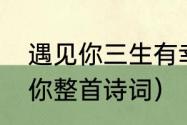 遇见你三生有幸原唱（三生有幸遇见你整首诗词）