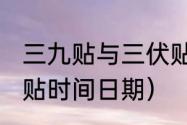 三九贴与三伏贴的区别（2021贴三九贴时间日期）