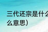 三代还宗是什么意思（三代反宗是什么意思）