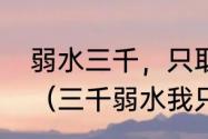 弱水三千，只取一瓢说的是什么意思（三千弱水我只取你一瓢什么意思）