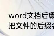 word文档后缀docx怎么显示（怎么把文件的后缀名显示出来）