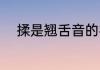 揉是翘舌音的字吗（揉是仄声吗）