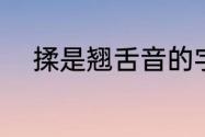 揉是翘舌音的字吗（揉是仄声吗）