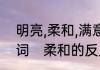 明亮,柔和,满意,喜欢这些单词的反义词　柔和的反义词是