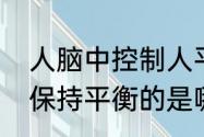 人脑中控制人平衡力的是什么　人脑保持平衡的是哪部分