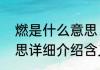 燃是什么意思　网络词“燃”是什么意思详细介绍含义网络出处是什么