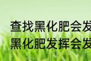 查找黑化肥会发灰的绕口令　绕口令“黑化肥发挥会发灰”的下一句是什么